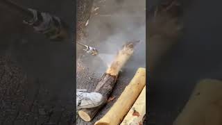 4000 PSI Turbo Jet Cleaning Power 💦