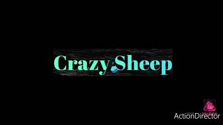 Totally random #3 b | funny videos found on internet | crazy sheep
