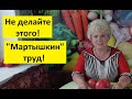 Эти удобрения нельзя применять в огороде осенью!