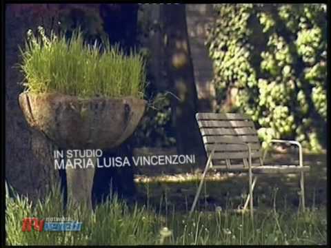 Noi Veneto: Indipendentismo Veneto - Veneto Sereni...