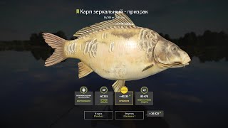 Russian Fishing 4/Русская рыбалка 4 фармим Янтарное