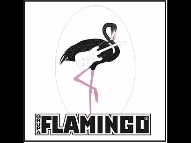 GRUPA FLAMINGO - ODGOVOR TRAŽIM