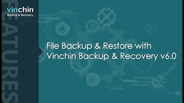 File Backup & Restore in Vinchin Backup & Recovery