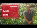 Honoring the Heart of Hawaii: Aina | Southwest Airlines