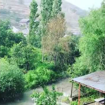 Babek Nifteliyev bunu paylasdi