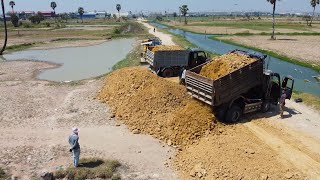 The Best Amazing! Land filling Operator Komatsu Dozer Push the soil And Small Dump Truck