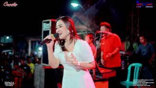 CAMELIA - TERGUNCANG - EVA AQWIELA - WEDDING WISNU & PUTRI - BANYUMANIS DONOROJO