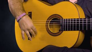 EliteGuitarist.com - Introducing Ricardo Marlow, Flamenco Guitar Lessons for Beginners and Advanced