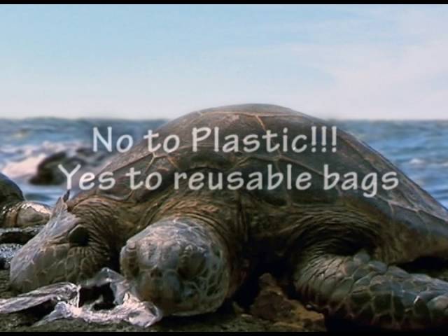 VI Plastic Bag Ban Coming Soon class=
