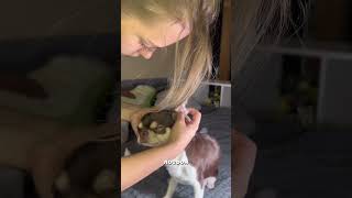 Не чистите ватными палочками! 250104391