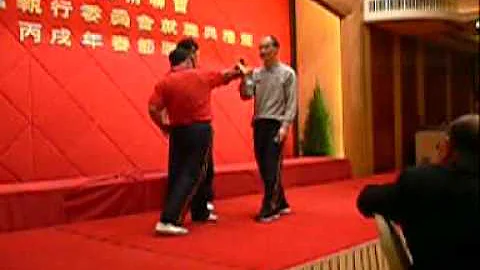 sifu tony chan showed tai chi application