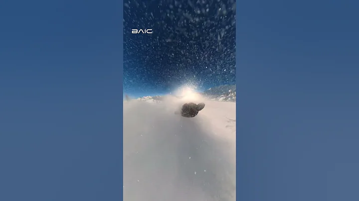 The BJ60 enters the wild with purpose.