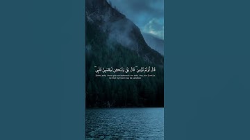 قران بصوت رائعه جدا #نور_التلاوة #القرآن_الكريم #تلاوة_خاشعة #قرآن #سورة#تدبر#اسلاميات #خشوع #تلاوات