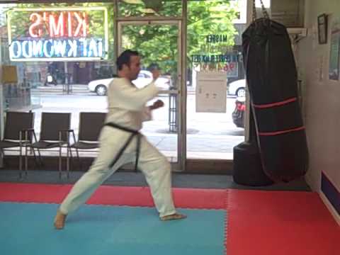 Henry Villar TaeKwonDo Training 02June2009