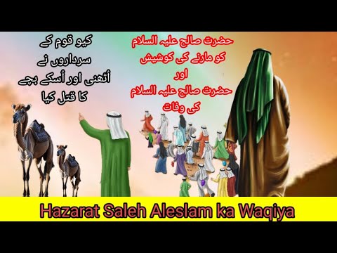 Hazarat Saleh Aleslam Ka Qiya  incident of hazrat salah aleslam