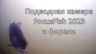 Подводная камера FocusFish 2023 на форелевом пруду