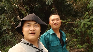 SOONG VLOG | HÀNH TRÌNH ĐI TÌM CÂY THUỐC NAM ( CÂY NÚC NẮC ) TRONG RỪNG GIÀ