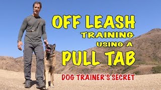 OFF LEASH Training Using a Pull Tab  Robert Cabral Dog Training Video