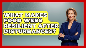 What Makes Food Webs Resilient After Disturbances? - Explaining Ecology