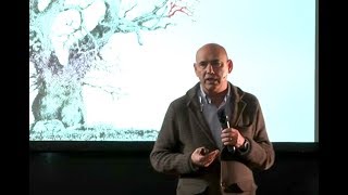 Transversality and creation. Generalism as profile | Antonio Vaillo | TEDxUniversidaddeNavarra