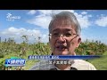 氣候影響農作物