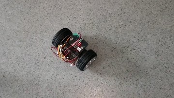 2 wheeled BBC microbit wanderer