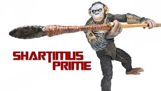 NECA Dawn of the Planet of the Apes Koba Review Video Review