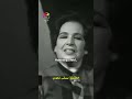 أمينة رزق بالانجليزية
