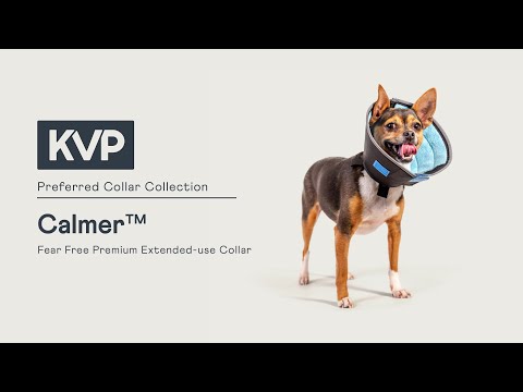 KVP Preferred E-Collars 