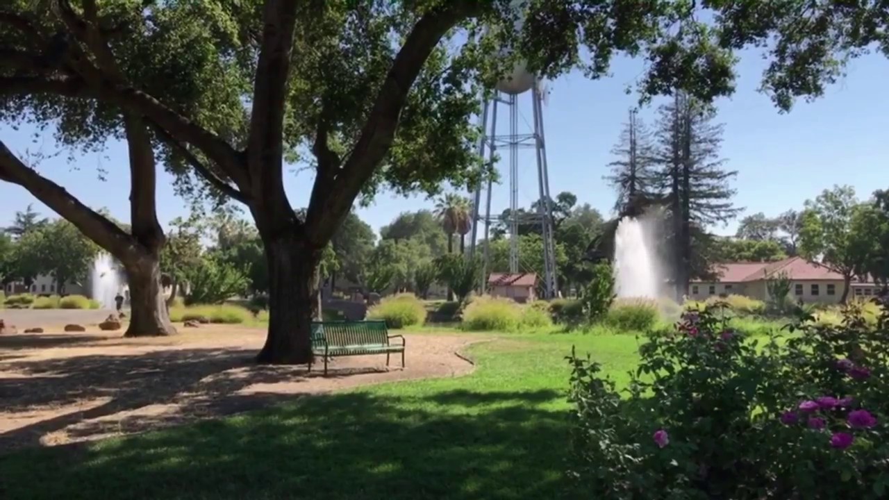 University Park World Peace Rose Garden in Stockton, California YouTube