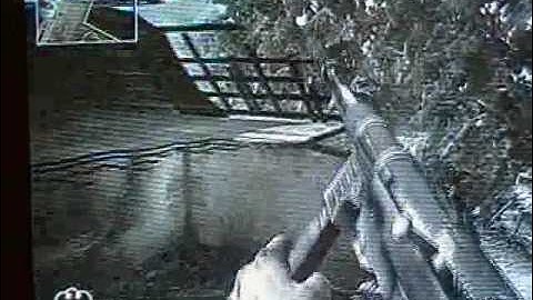 ON TOP OF ASYLUM!!COD5