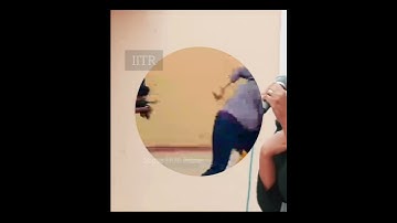 IIT Roorkee Motivational Status ❤🔥IIT JEE / IITR Short