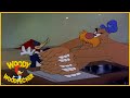 Woody Woodpecker Classic | Solid Ivory | Full Episodes
