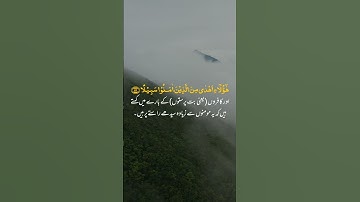 سورة النساء (51-52) | رعد محمد الكردي