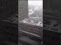 ‏يوم من صباح يوم باللون الأبيض