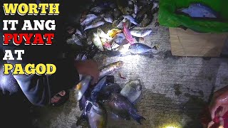 DIFFERENT CATCH FISH DURING NIGHT SPEARFISHINGS, TSAMBAHAN LANG TALAGA!