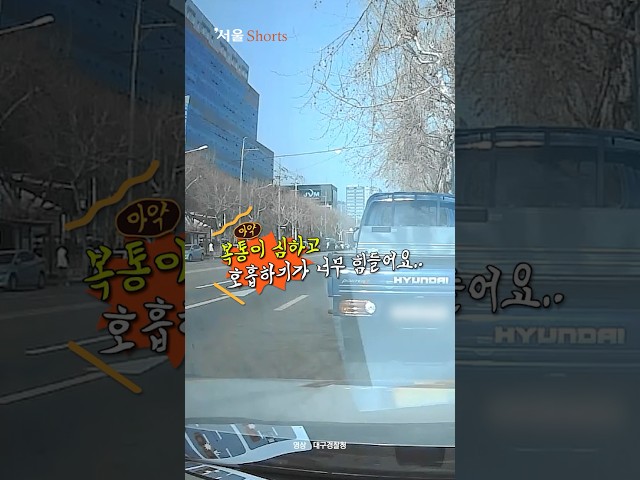 순찰차 앞으로 불쑥…호흡곤란 트럭 운전자