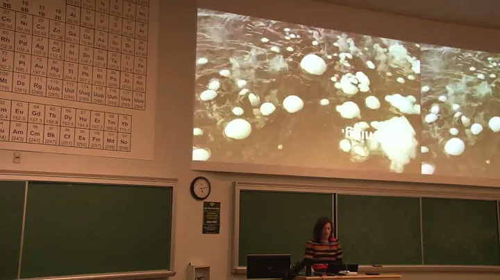 Maura Rockcastle, ASLA PLAPrincipal + Co-founderTE...