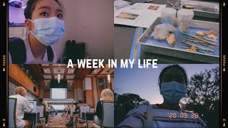 a week in my life at college