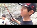 アジを釣る！城崎マリンワールド の動画、YouTube動画。