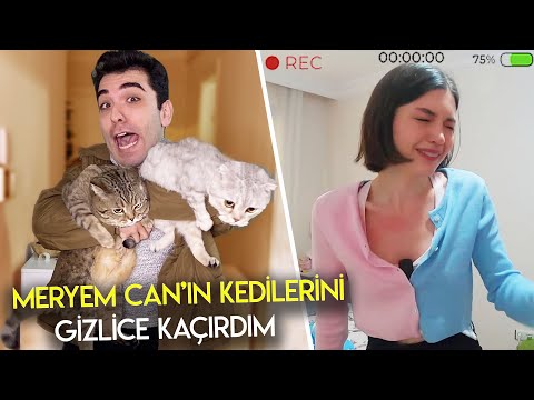 ARKADAŞIMIN KEDİLERİNİ GİZLİCE KAÇIRDIM !! (Polis Çağırdı)