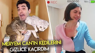 ARKADAŞIMIN KEDİLERİNİ GİZLİCE KAÇIRDIM !! (Polis Çağırdı)