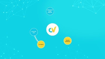 CarVertical | Explainer Video