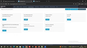 How to Send Text Reply via Chat API | MsgClub Chat System Integration Guide