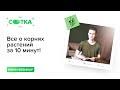 Все о корнях растений за 10 минут | БИОЛОГИЯ ОГЭ | СОТКА