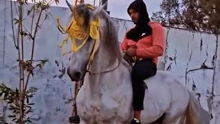 ما شاء الله تبارك الله على الحصان لزرگ الله يحفظو لمولاه (اشرف قيصر)|moroccan horses arab_barb
