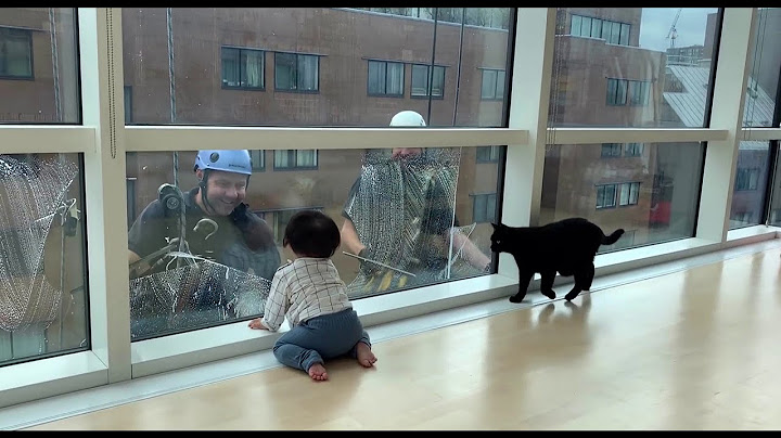 Little Baby having fun with the window cleaners 👶🏼