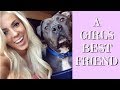A Girls Best Friend | A Story About My Dog A Girls Best Friend | A Story About My Dog