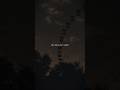 ignite lyrics edit - alan walker & k- 391#lyrics #edit #viral #alightmotion #new #trending #shorts