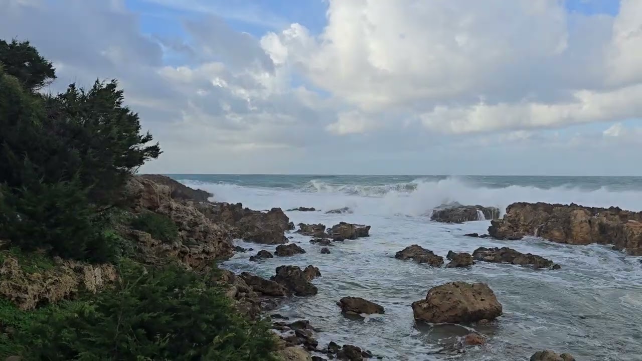 10 JANUARY 2026 El Kala 1